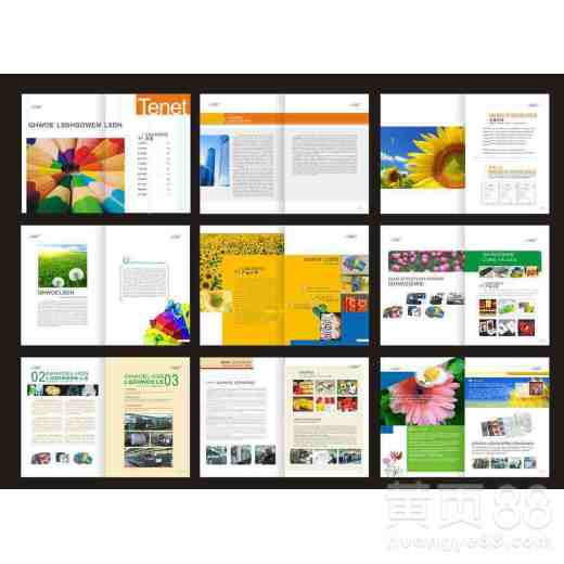 郑州图文设计制作价格全解析 影响因素与市场行情